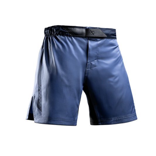 Hayabusa Core Fight Short Mid-Thigh Blauw