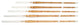 Image Alt Text