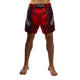 Venum Galactic 3.0 Fight shorts Rood/Zilver