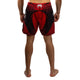 Venum Galactic 3.0 Fight shorts Rood/Zilver
