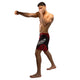 Venum Galactic 3.0 Fight shorts Rood/Zilver