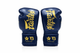 Fairtex Booster Bokshandschoenen FXB BG V2 NAVY