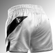 Hayabusa Muay/Thaishort Core Wit