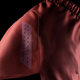 Hayabusa Short Core Grappling Rood