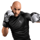 Hayabusa Bokshandschoenen T3 Marvel's The Punisher