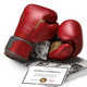 Hayabusa Bokshandschoenen T3 Marvel's Iron man