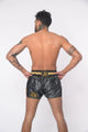 Joya Gear X Windy Kickboksshort Zwart/Goud