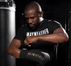 Hayabusa Mayweather Bokshandschoenen Zwart Goud