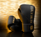 Hayabusa Mayweather Bokshandschoenen Zwart Goud