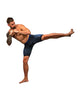 Venum Thunder Dragon Vale Tudo Shorts Black/Royal Blue