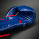 Venum Bokshandschoenen Elite Donker Blauw/Rood