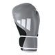 Adidas Bokshandschoenen Speed Tilt 200 Zilver/Wit