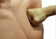 Image Alt Text