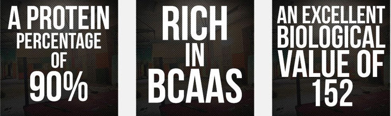 Image Alt Text